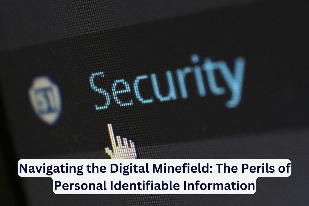 Navigating the Digital Minefield: The Perils of Personal Identifiable Information